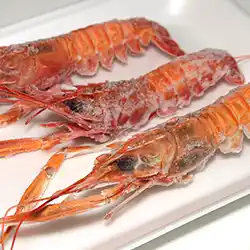 Langoustines available in Newlands, Cape Town