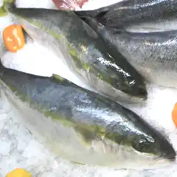 Fresh yellowtail from Newlands, Cape Town