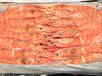 The little fisherman - Frozen red shrimp